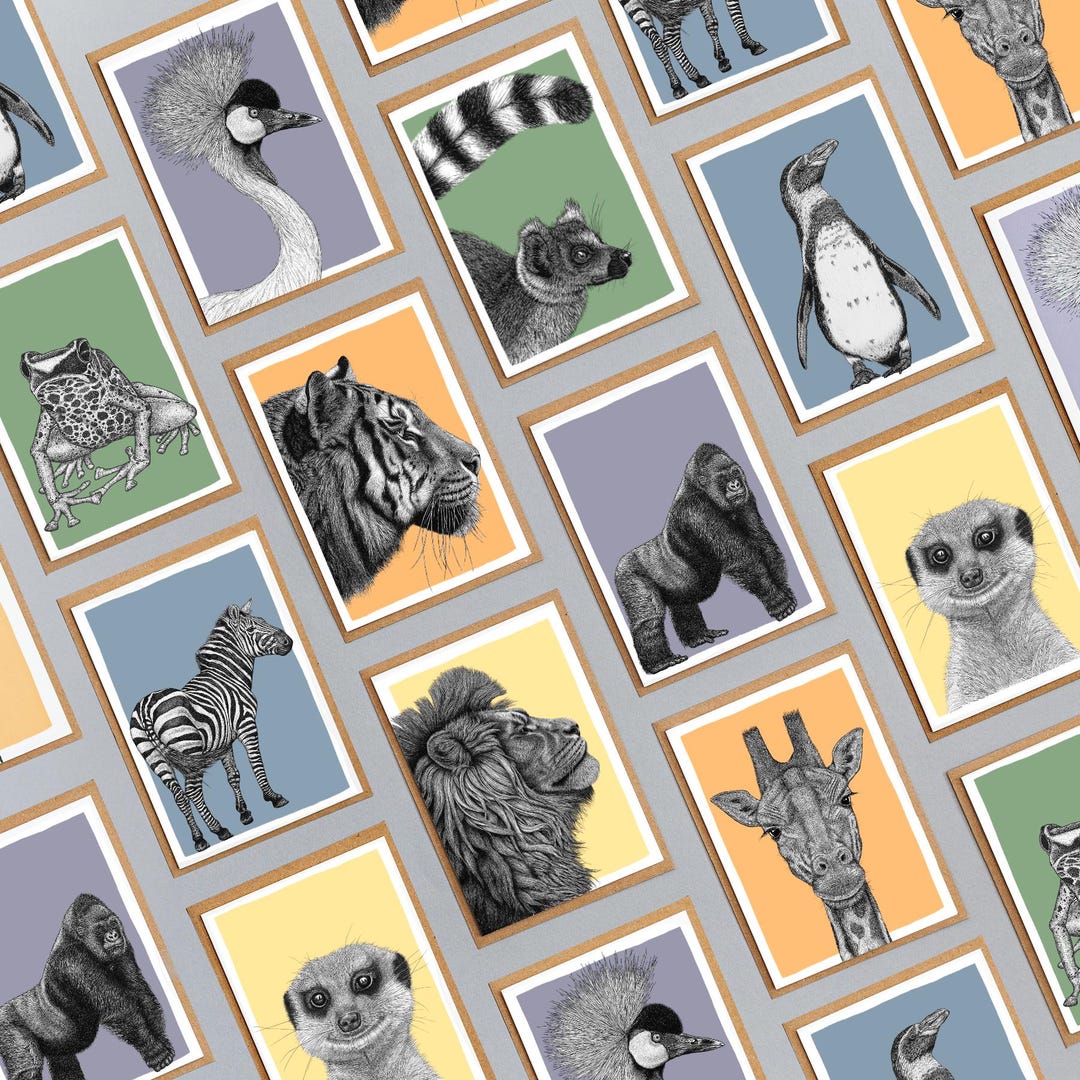 Wildlife Art Note Card Set // Boxed Pack of 10 Blank Notelets // Hand ...