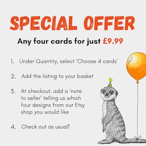 May include: An illustration with the text "SPECIAL OFFER" in orange. It promotes buying four cards. A meerkat wearing a party hat and holding a balloon is on the right. Instructions are listed below the text.