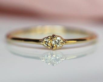 14K Gold Two Stone Duo Ring