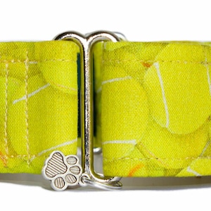 May include: A yellow dog collar with a tennis ball print and a silver buckle. The collar has a silver paw charm and the text "Noddy & Sweets handmade petgear" on a white tag.