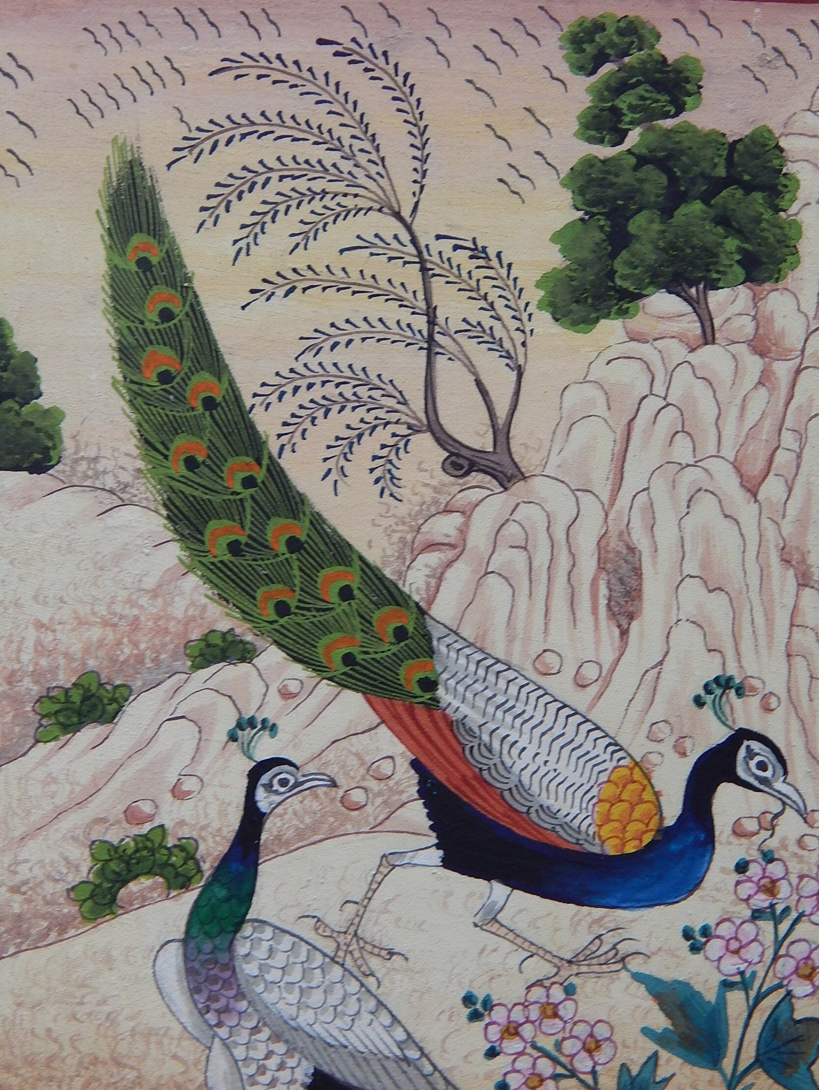 Artery8 Indische Miniatur-Frau Mit Pfau Leinwanddruck – 61 X 46 Cm (18x24 Zoll), Beschichtete Baumwoll-Leinwand