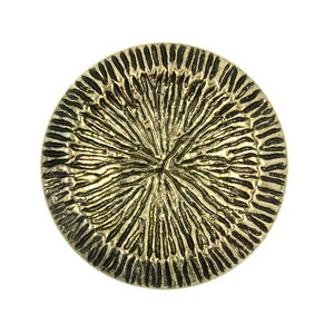Puede incluir: Un botón redondo de metal dorado con un diseño texturizado en forma de sol. El botón tiene un contorno negro.