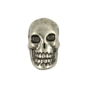 May include: A silver skull charm with black eyes and a toothy grin.