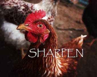Sharpen Action