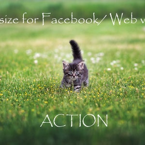 Resize for Facebook/ Web view Photoshop action