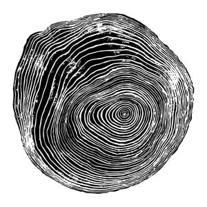 Tree Ring Print Nature Inspired Art Ink Blot Natural Home Decor Log ...