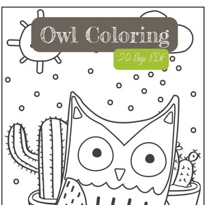Printable/Digital Download Owl Coloring Pages - 20 Pages Kids Coloring Activity