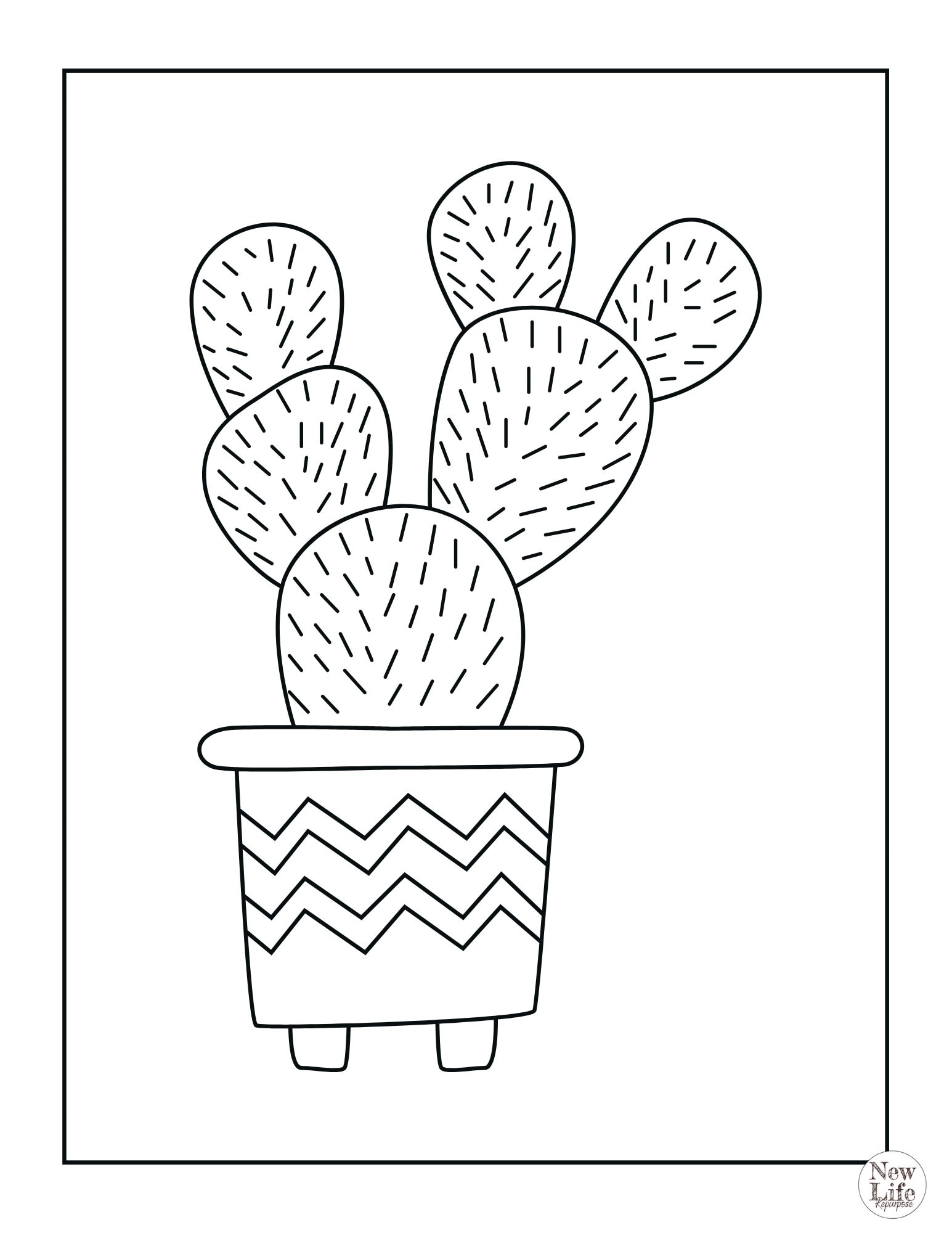 gymnocalycium schroederianum Gymnocalycium Schroederianum Bossii | Buy Online main image 1