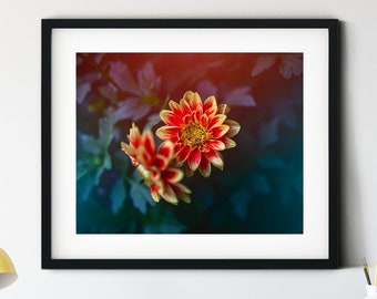 Impression d'art fleur dahlia, photographie florale orange
