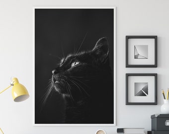 Art du chat noir, décoration murale, impression d'art, photographie
