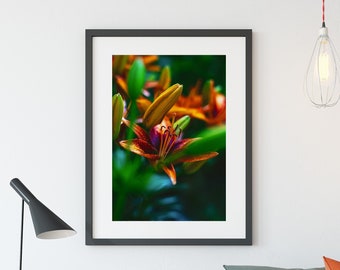 Impression photo d'art mural floral lys tigré nature