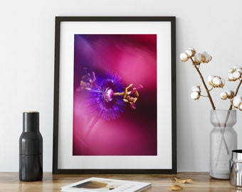 Impression de photographie de fleur de la passion, Art de la nature rose violet vif