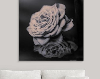 Toile rose, fleurs noir et blanc, beaux-arts, photographie de nature déco