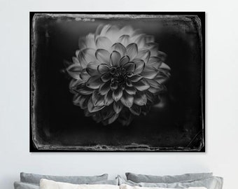 Dahlia noir sur toile, oeuvre d'art florale, prêt à accrocher