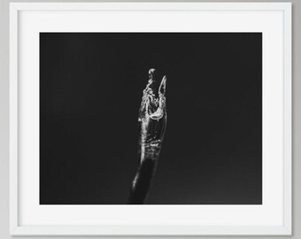 Impression de photographie d'art glace noir et blanc