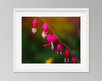 Impression de photographie de fleurs coeur saignant, art mural rose