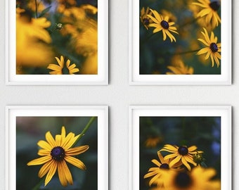 Impressions photographiques de fleurs de Susan aux yeux noirs, ensemble d'art mural jaune