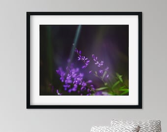 Impression de photographie d'art fleur mauve, art mural coloré