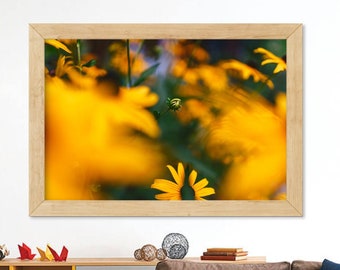 Impression de photographie de Susan aux yeux noirs, art floral de la nature