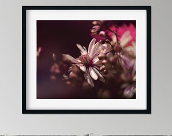 Impression d'art fleur éthérée, photographie florale rose pastel