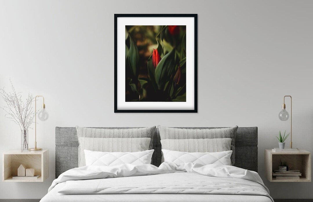Red Tulip Fine Art Photography Print, Floral Nature Decor - Etsy