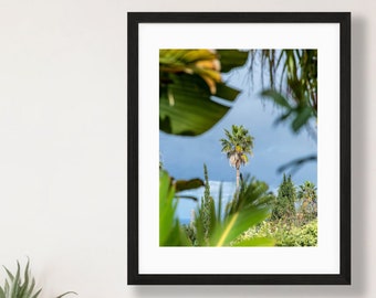 Palm Tree Print - Espagne Photographie - Îles Canaries Wall Art - Tenerife Photo - Palm Tree Wall Art - Tropical Wall Decor