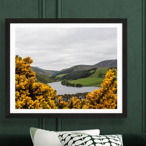Scotland Landscape Print: Roslin Gorse, Edinburgh Travel Photography