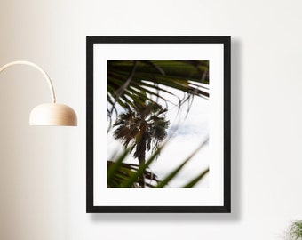 Palm Tree Print - Tenerife Photography - Spain Photography - Canary Islands Wall Art - Palm Tree Wall Decor - Tropical Wall Art - Palm Tree