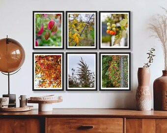 Autumn Photography Gallery Wall - Set of 6 Prints - Autumn Decor - Fall Decor - Autumn Photography - Fall Photography - Autumn Wall Art