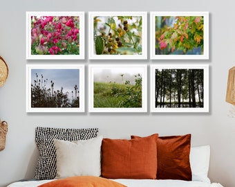 Autumn Photography Gallery Wall - Set of 6 Prints - Autumn Decor - Fall Decor - Autumn Photography - Fall Photography - Autumn Wall Art