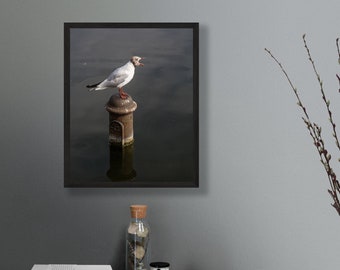 Seagull Print - London Photography - Gull Wall Art