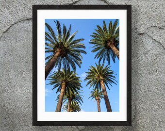 Palm Tree Pool Reflections - Tenerife Photography - Tropical Wall Art - Travel Photo