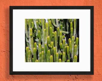 Cacti Print - Nature Photography - Tenerife, Canary Islands, Spain - Wall Art