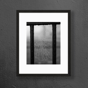 May include: A black and white photograph of a spider web caught in a metal fence. The web is covered in dew drops, creating a delicate and intricate pattern.