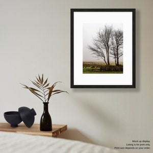 Dartmoor in December - Devon, UK Print - Nature Photography - Trees and Fog