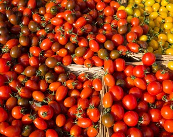 Food Photography - Tomato Print - Kitchen Art