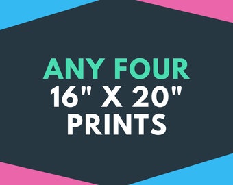 ANY FOUR (4) 16" x 20" Photography Prints