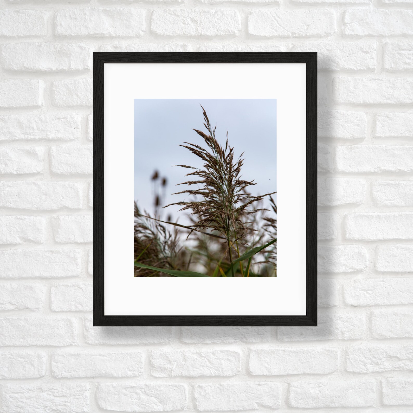 Automne dans le Nord Tonawanda 6 Nature Photography Fall | Etsy