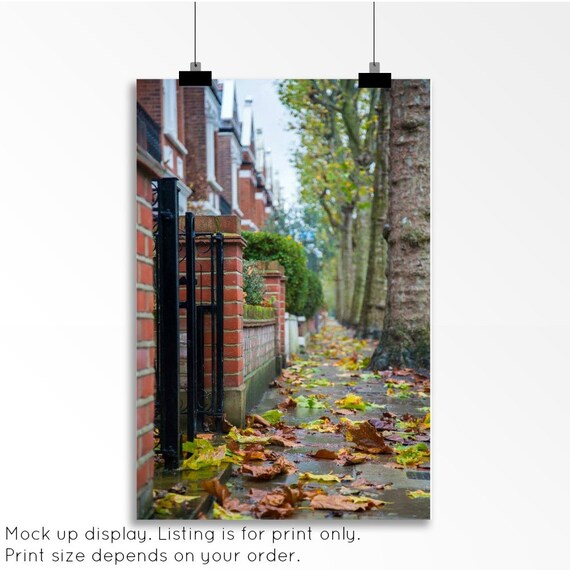 Autumn Photography Fulham London Print Fall Leaves Etsy