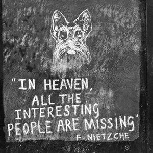 May include: Black and white photo of a dog with the quote "In heaven, all the interesting people are missing" - F. Nietzsche.