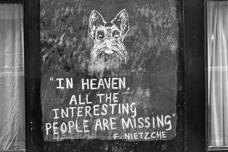 May include: Black and white photo of a dog with the quote "In heaven, all the interesting people are missing" - F. Nietzsche.