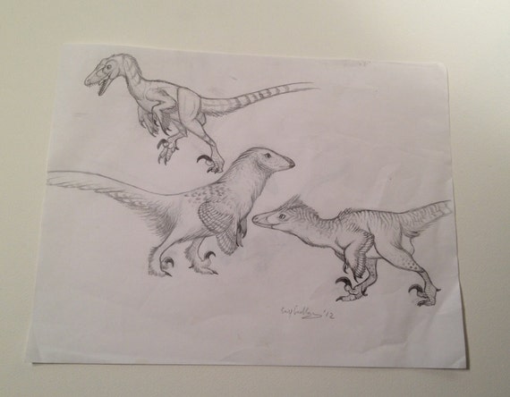 Trzy Raptors Oryginalny Rysunek Ołówkiem