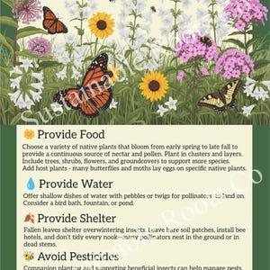 Puede incluir: Un póster ilustrado titulado "Cómo puedes ayudar a los polinizadores a prosperar" con flores, mariposas y abejas. La guía ofrece consejos sobre cómo proporcionar alimento, agua y refugio a los polinizadores y evitar pesticidas.