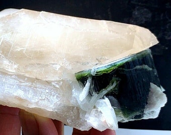 21*20*13 mm 47.65 cts Terminated Blue Cap Tourmaline Crystal with Albite from Paprok