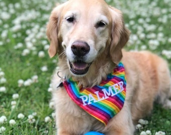 LGBTQ+ Custom Pride Pet Bandanas (for medium and large-sized dogs)