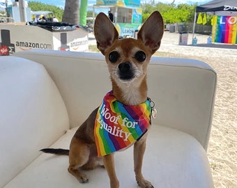 LGBTQ+ Custom Pride Pet Bandanas