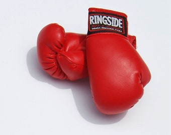 Mini Boxing Gloves Upgrade (GLOVES ONLY)