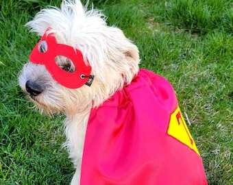 Pet Super hero cape and mask set