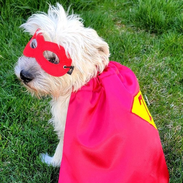 Conjunto de capa y máscara de superhéroe para mascotas