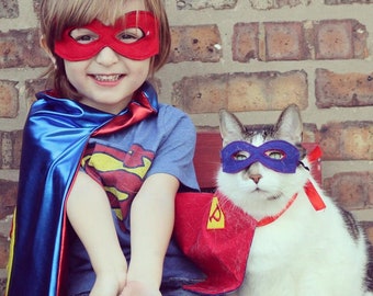 Pet Super hero cape and mask set